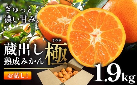 ＼お試し規格╱【極】蔵出し熟成みかん 1.9kg《2月中旬-3月上旬頃出荷》