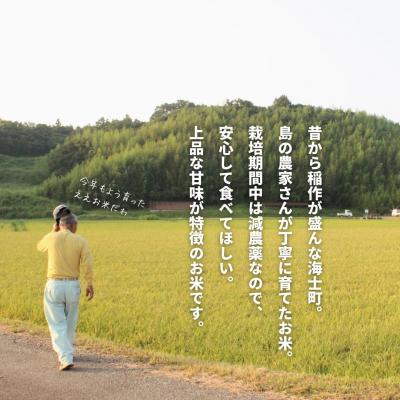 ふるさと納税 海士町 【定期便4ヵ月】計20kg!コシヒカリ・きぬむすめ 5kg×4か月定期便 お米 |  | 01