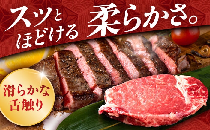 熊本 あか牛 ヒレ肉 希少部位 シャトーブリアン 約750g