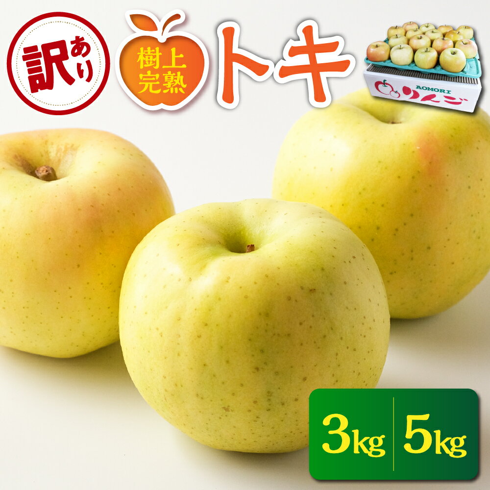 【ふるさと納税】《 2025年10月発送 》【 訳あり 】選べる内容量 とき 3kg または 5kg / トキ 不揃い 規格外 りんご 林檎 アップル 常温保存 秋 旬 果物 くだもの フルーツ 青森県 五所川原市