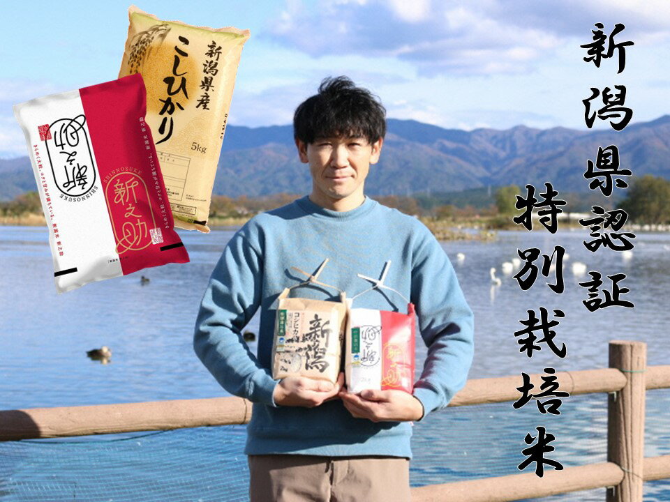 【ふるさと納税】【令和7年産新米予約】 新潟県阿賀野市産 コシヒカリ 新之助 各5kg 計10kg 食べ比べセット 特別栽培米 新潟県認証米 従来コシヒカリ 精米 白米 丸山農園 10月中旬より順次発送予定