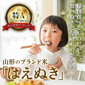 令和6年産 はえぬき 精米 10kg（5kg×2） 22年連続特A受賞 米 お米 おこめ 山形県 新庄市 F3S-2239