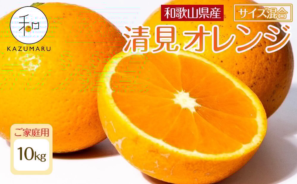 
            家庭用 森本農園の手選別 清見オレンジ 10kg 和歌山県産 サイズ混合 ［北海道・沖縄・離島配送不可］［RN39］［2026年2月上旬から5月中旬頃順次発送予定］
          