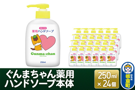 ぐんまちゃん薬用ハンドソープ本体(250ml)×24個入り