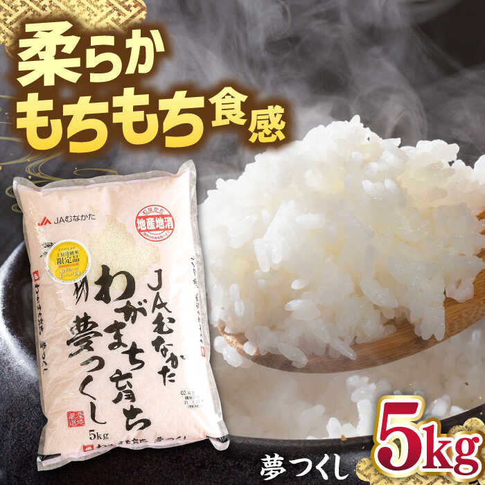 【ふるさと納税】福岡産ブランド 米 夢つくし 5kg ▼ 米 こめ お米 福岡 九州 白米 精米 桂川町/南国フルーツ株式会社[ADBW028]
