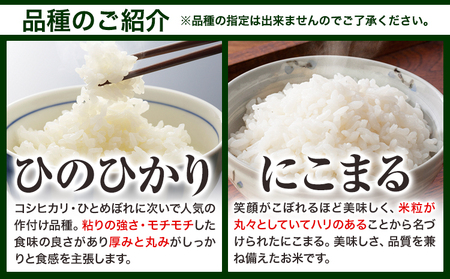 【令和8年1月発送】【先行予約】令和7年産 15kg 米 笠岡ふるさと米 備中笠岡|米 白米