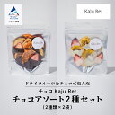 【ふるさと納税】 チョコKaju Re:ドライフルーツ チョコアソート 2種セット ドライフルーツ フルーツ おやつ お菓子 おかし グルメ お取り寄せ 人気 ランキング おすすめ お中元 お歳暮 ギフト 小松市 こまつ 石川県 ふるさと 故郷 納税 011049【Kaju Re:】