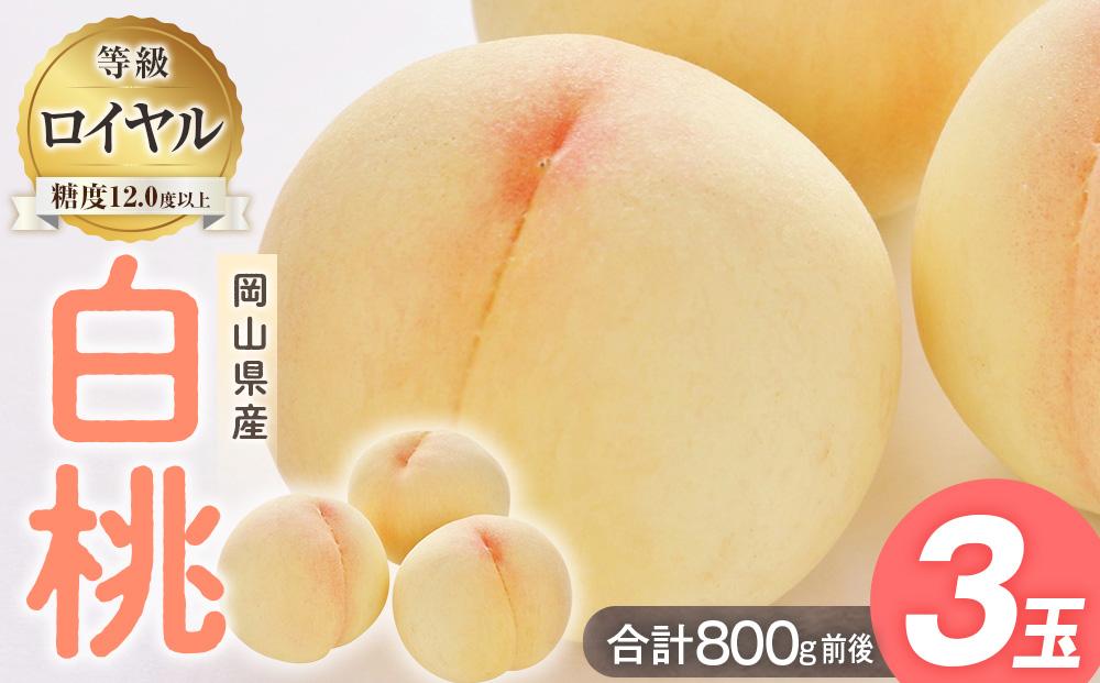 桃 2024年 先行予約 白桃 3玉入り 等級: ロイヤル 糖度12.0度以上 合計800g前後 もも モモ 岡山県産 国産 フルーツ 果物 ギフト [No.5220-1706]