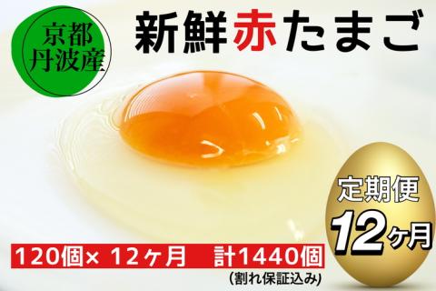 【12回定期便 計1440個】 京都・丹波の赤たまご 新鮮 （100個＋割れ保証20個）×12ヶ月 《生卵 たまご 鶏卵 小分け 1年間》※北海道・沖縄・離島への配送不可