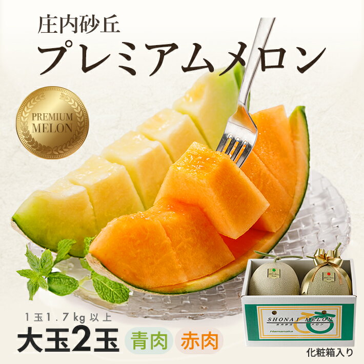 【ふるさと納税】庄内砂丘プレミアムメロン 大玉 青肉メロン・赤肉メロン 各1玉 1.7kg以上 計2玉 3.4kg以上 2026年7月上旬〜8月上旬頃お届け ※着日指定不可 夏 果物 フルーツ メロン 青 赤 セット 詰合せ 東北 山形県 酒田市 庄内 庄内砂丘 砂丘メロン 農協 JA 直送 化粧箱