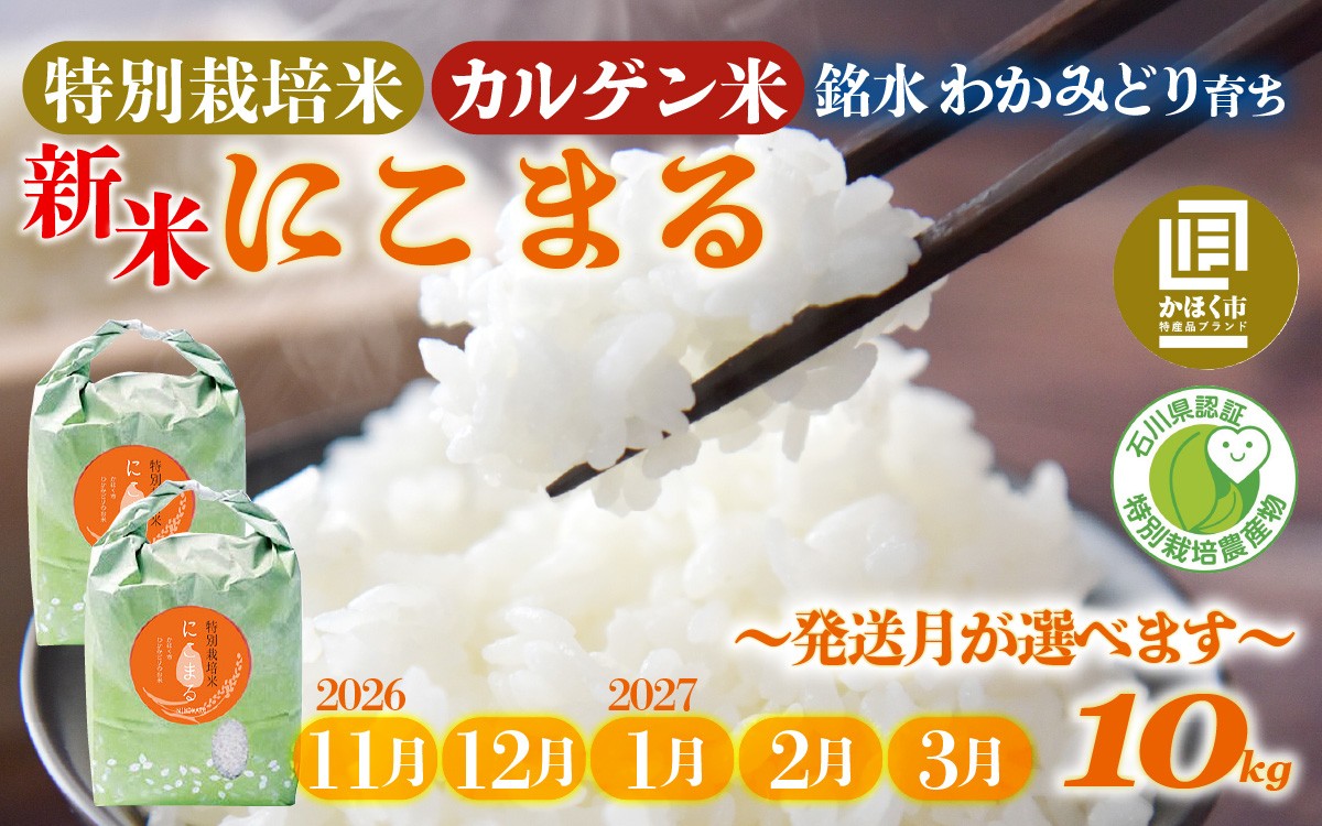 
                  【令和8年産 新米】【発送月が選べる】若緑産 特別栽培米「にこまる」10kg（5kg × 2袋）【2026年11月～2027年3月発送】 / 令和8年産 米 単一原料米 ニコマル 国産 こめ コメ 食品 常温 ご飯 お取り寄せ 10キロ
                