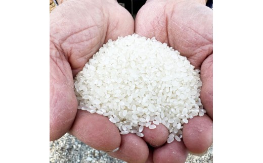 お米作り60年以上 檜本さんのコシヒカリ５kg [1232] お米 精米 ５kg こしひかり 兵庫県 多可町 ひのきもとさん