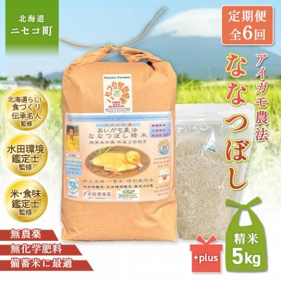 ふるさと納税 ニセコ町 《数量限定先行受付!令和8年産米》【6回定期便】ななつぼし【胚芽米仕様精米】5kg