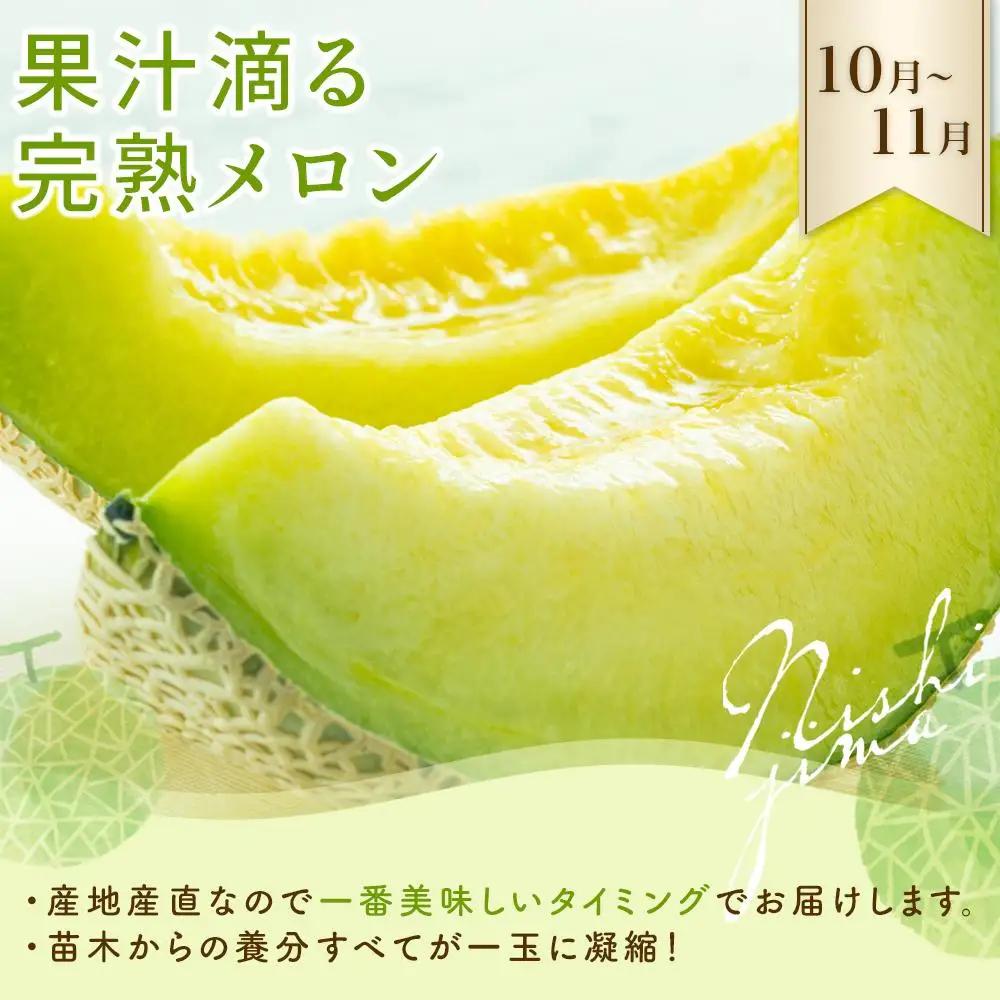 【年5回 フルーツ定期便】季節のフルーツセット【いちご スイカ マンゴー メロン】