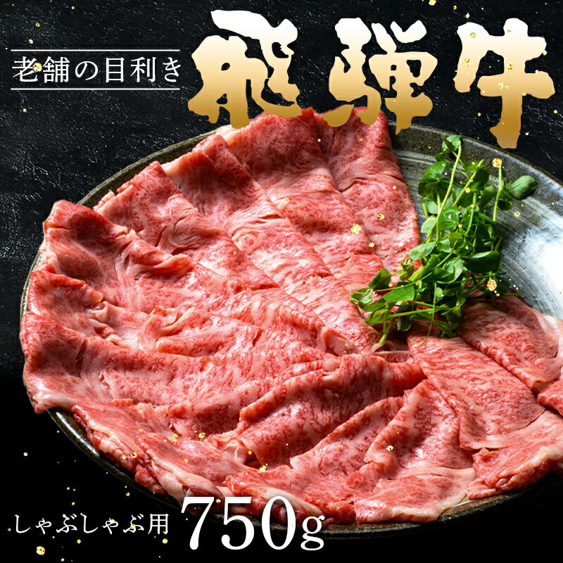 【ふるさと納税】牛肉 飛騨牛 ロース肉 しゃぶしゃぶ用 750g 牛 肉 ロース しゃぶしゃぶ 赤身 飛騨【上見屋】牛肉 和牛 国産 薄切り肉 誕生日 記念日 お祝い 人気 お取り寄せ グルメ 冷凍 送料無料 岐阜県 中津川市 F4N-1743