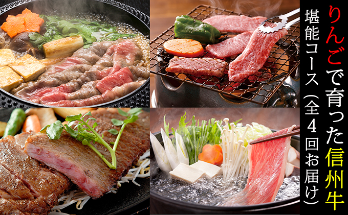 牛肉 定期便 4ヶ月 りんごで育った 信州牛 堪能コース 黒毛和牛 A5 和牛 肉 定期 4回