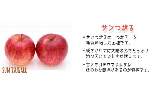 りんご サンつがる 秀  特秀 3kg マルハ農園 沖縄県への配送不可 2024年9月上旬頃から2024年9月中旬頃まで順次発送予定 令和6年度収穫分 エコファーマー認定 信州 果物 フルーツ リンゴ