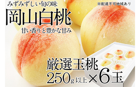 桃 2025年 先行予約 岡山の白桃 250g以上×6玉 白桃 旬 みずみずしい 晴れの国 おかやま 岡山県産 フルーツ王国 果物王国