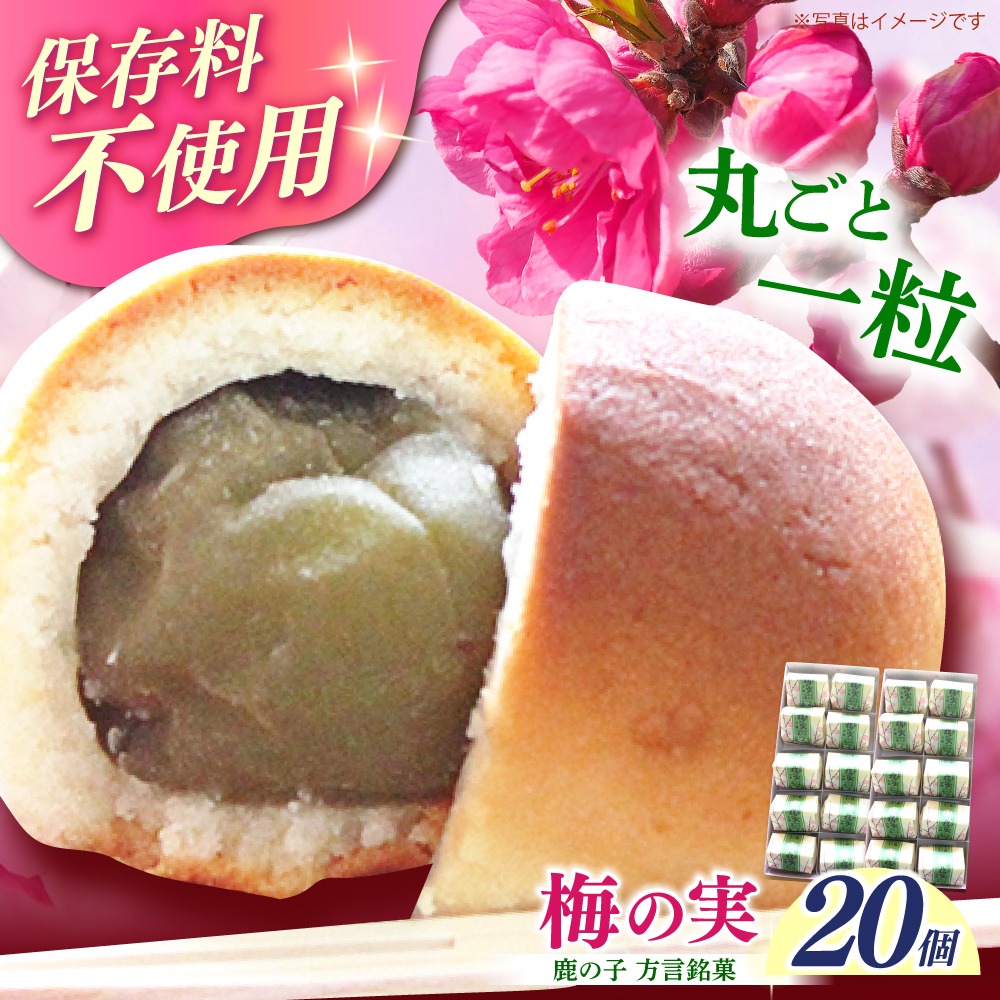 【老舗の菓子屋】築上銘菓「 梅の実 」20 個《築上町》【有限会社 御菓子司 鹿の子】[ABAC020]