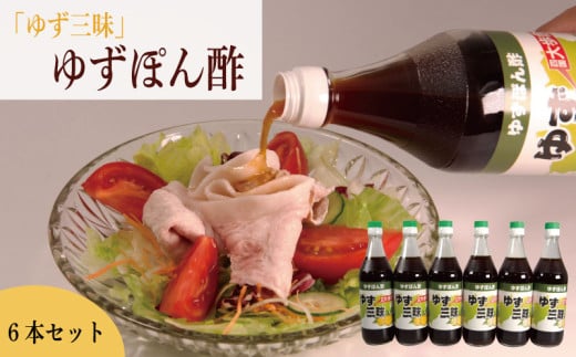 ゆず ぽん酢 柚子 ポン酢 500ml 6本 果汁 柑橘 みかん 鍋 刺身 サラダ 豆腐 肉 調味料 健康 名物 母の日 父の日 贈り物 ギフト 贈答 プレゼント 徳島県 三好市