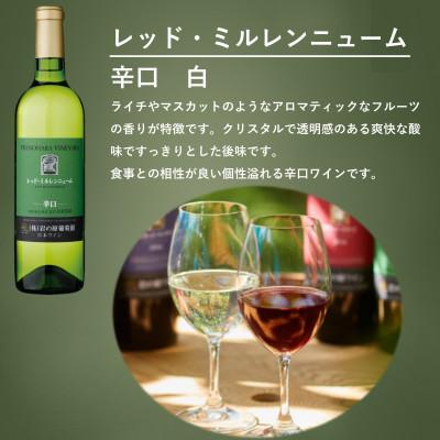 ふるさと納税 上越市 岩の原ワイン　「日本のワインぶどうの父」川上善兵衛が生み出した品種飲み比べ　贅沢5本セット |  | 03