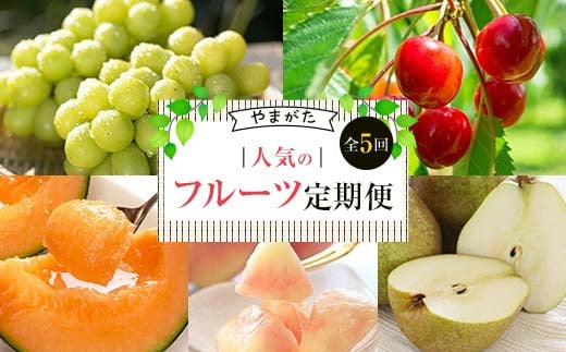 《先行予約 2026年度発送》やまがた人気のフルーツ定期便（全5回） FSY-2618