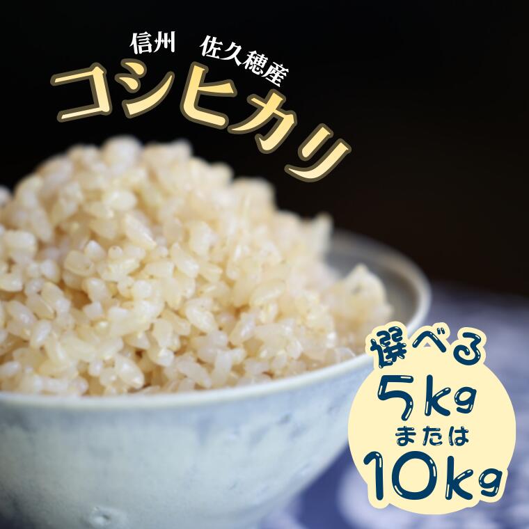 【ふるさと納税】令和7年産　炊きあがりのつやと香りが良く、うま味も強い　コシヒカリ　玄米5～10kg　佐久穂とさや農園〔ST-102-01〕