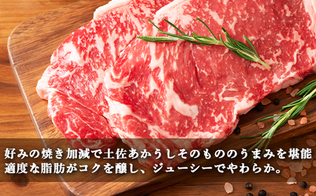 土佐あかうし【和牛サーロイン／ステーキ】500g（250g×2枚）