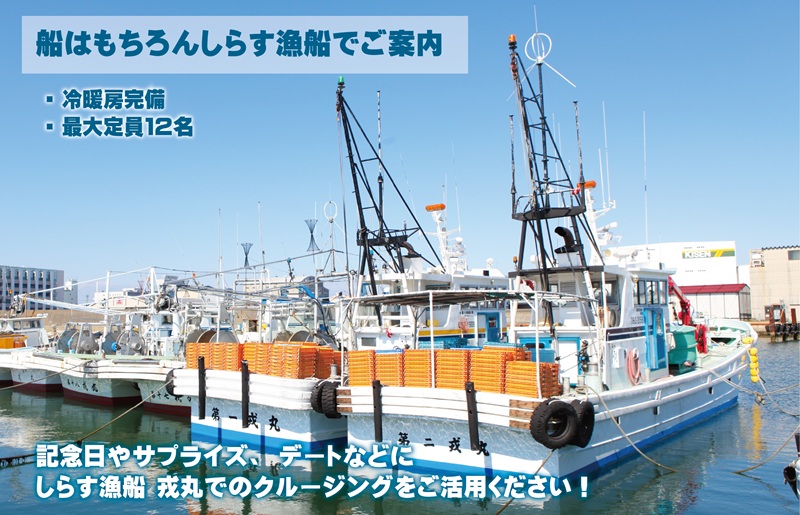 真面目漁師 濱ちゃんがご案内！関空クルージング（釜揚げしらすのお土産付き） 099H3542
