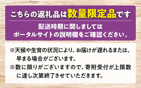 【先行予約】【9月上旬から9月末に順次発送】【訳あり】ピオーネ 約1kg（約500g×2パック）露地栽培 ぶどう 果物 ピオーネ フルーツ 葡萄 ブドウ 三次市/西田ぶどう園[APCM006]