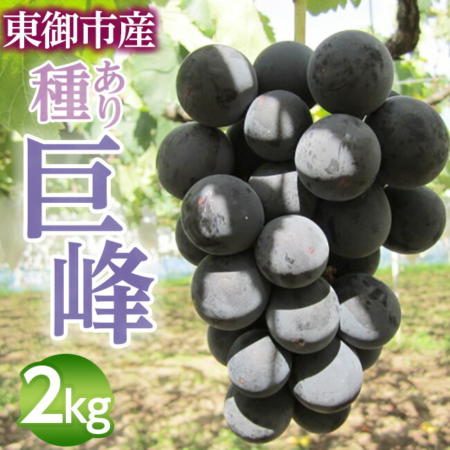 【ふるさと納税】（先行受付）東御市産 種あり 巨峰 約2kg　※9月上旬～10月上旬ごろお届け予定　ぶどう 葡萄 グレープ フルーツ 果物 ギフト 甘い 美味しい クール便 冷蔵 お取り寄せ 贅沢 国産 信州 長野県東御市