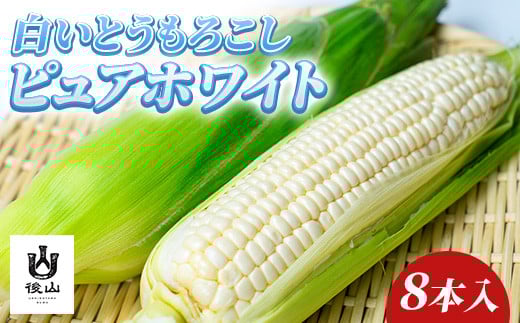 
                  【先行受付】純白のとうもろこし！2026年8月発送！ピュアホワイト8本入り[約3.3kg]諏訪の秘境、後山で生まれたクリーミーな果汁が楽しめるとうもろこし／ Suwa後山ブランド化プロジェクト とうもろこし トウモロコシ コーン 夏野菜 野菜 冷蔵 後山 純白 白 信州 長野県 諏訪市 諏訪 [67-02]
                