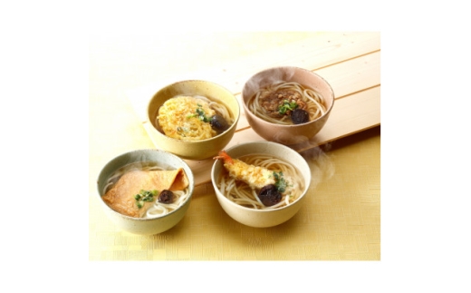 冷凍麺・冷凍うどん8食セット(牛肉うどん入り)【1607399】