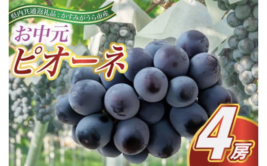 ＜2025年8月より順次発送予定＞お中元　ピオーネ　4房(県内共通返礼品:かすみがうら市産) (BR112)