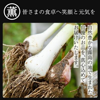 ふるさと納税 霧島市 私のたれ 女だってにんにく(500ml×2本)【薩摩の薫農園】K-633 |  | 02