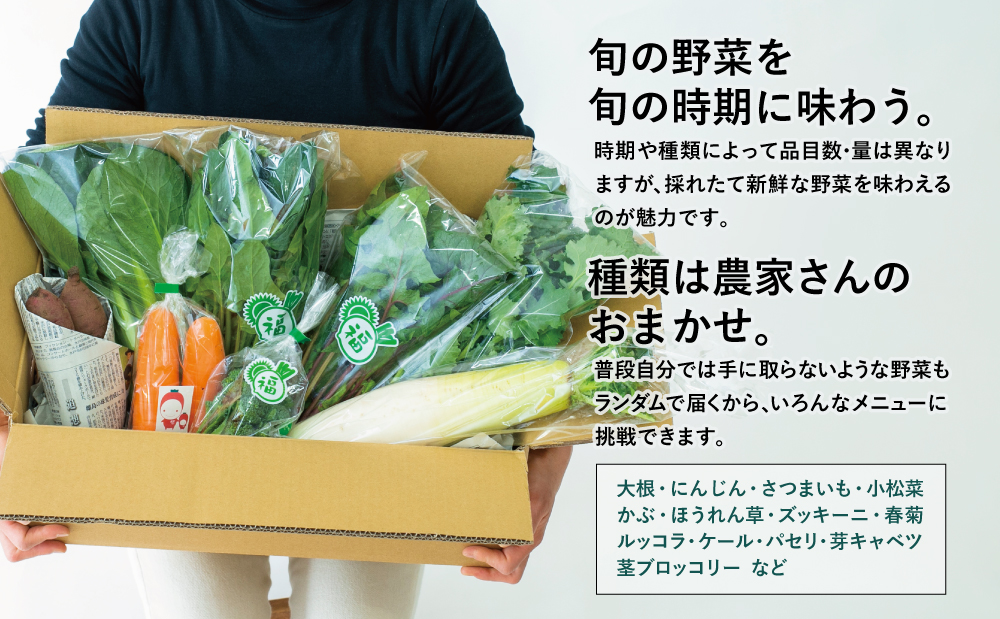 【鹿児島県南さつま市産】福元農園 旬のお野菜 おまかせセット 1箱（5〜8品目）