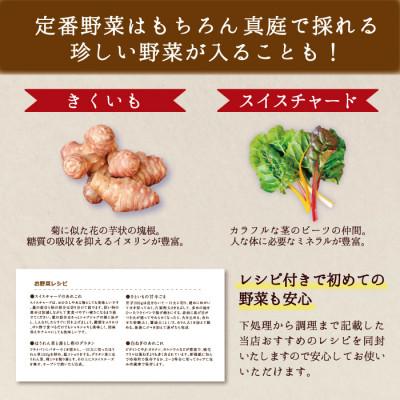 ふるさと納税 真庭市 真庭あぐり野菜セット カット野菜が1品入る10〜11品【yasai015】 |  | 02