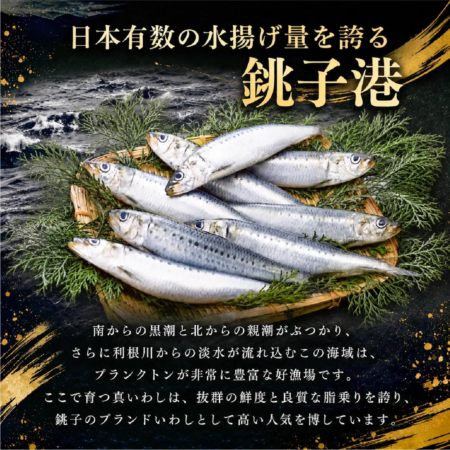 いわし 酢〆 計70枚 （ 10枚 × 7パック ） 真いわし