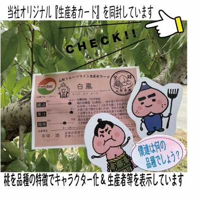 最後の完熟桃『トワイライトピーチ』約1.5kg(3～6玉)【配送不可地域：離島・沖縄県】