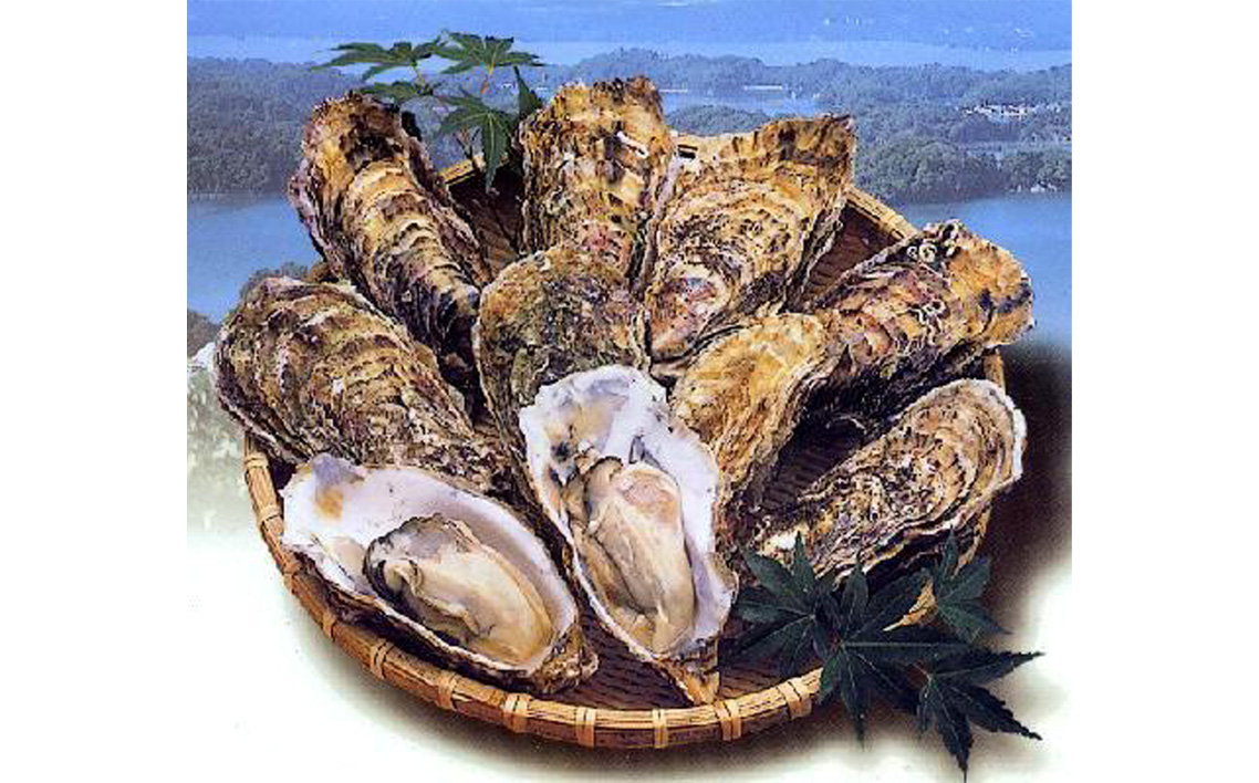 殻付き牡蠣20個＋オイスターナイフ