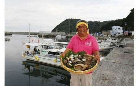 【数量限定】佐田岬海士のあわび・さざえセットA 計3kg ※北海道・東北地方・沖縄・離島への配送不可 IKTJ001