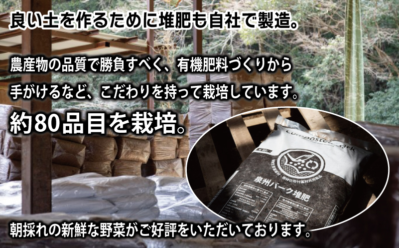 ねね屋のとれたて野菜セット 7品目以上 詰め合わせ 099H2858