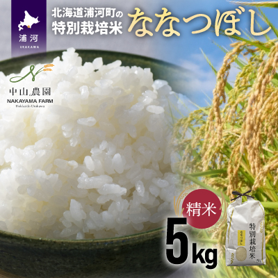 【先行受付開始！】浦河の特別栽培米「ななつぼし」精米(5kg×1袋)[37-1065]