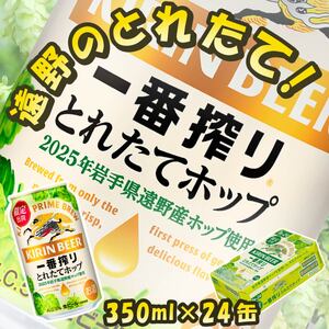 キリン とれたてホップ 一番搾り 生ビール 350ml × 24本（1箱）／ 有限会社松田酒店  岩手県 遠野 産 ホップ 使用 キリンビール ギフト お歳暮 お祝い 数量限定