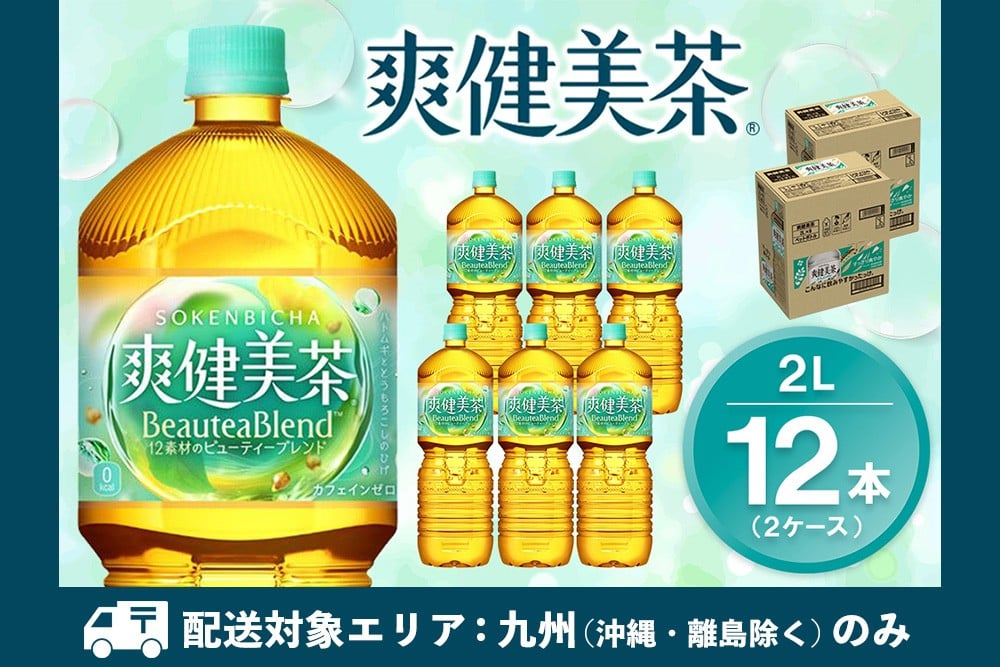 
            【九州内配送】爽健美茶 2LPET (2ケース) 計12本【コカコーラ カフェインゼロ 香ばしい おいしい ブレンド茶 お茶 ハトムギ 玄米 大麦 ドクダミ ハブ茶 チコリー 麦芽 植物素材 飲料 ペットボトル 備蓄 防災 熱中症】K090198
          