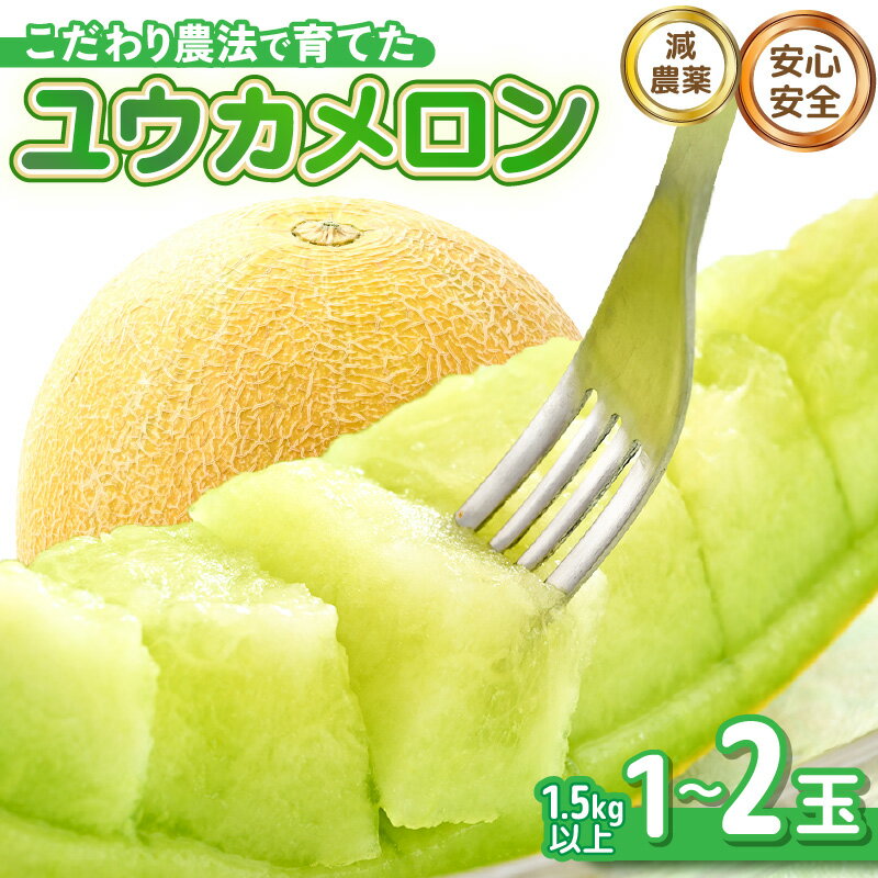 【ふるさと納税】【先行予約】 安心安全！減農薬！こだわり農法で育てた ユウカメロン 【選べる内容量：1玉 / 2玉】 1玉あたり：1.5kg以上 【2026年6月中旬以降順次発送予定】 【メロン めろん フルーツ デザート 果物 くだもの 果実 糖度 甘い 産地直送 国産】