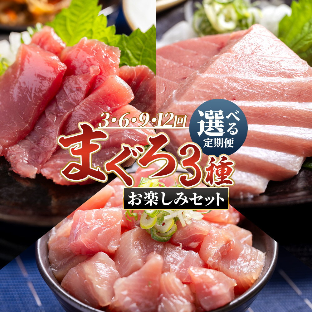 【ふるさと納税】〈月替わり〉まぐろ 3種 お楽しみセット（選べる定期便：3/6/9/12回）- 選べる 定期便 国産 刺身スライス 柵 切り落とし 海鮮丼 漬け丼 煮物 鮪 マグロ カット済み 角切り 小分けパック 新鮮 魚介 産地直送 龍馬の海鮮隊 野島水産 高知県 香南市【冷凍】