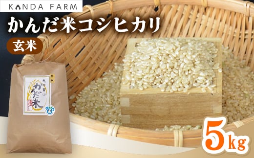 
                  【令和8年産】鮮度の米　かんだ米『コシヒカリ』玄米　5kg×1袋【1760445】
                