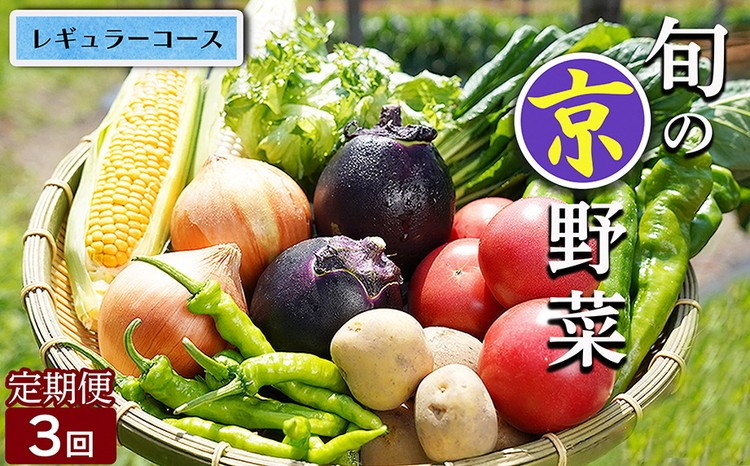 
                  野菜定期便 3回 4~6種類 旬の京野菜 レギュラーコース 詰め合わせ 季節 旬 野菜 やさい 野菜便 国産 国産野菜 新鮮 おまかせ 産地直送 春野菜 夏野菜 秋野菜 冬野菜 葉物 果菜 根菜 カット野菜 京都府産 亀岡市産 京丹波町産 季節の野菜 九条ネギ なす 唐辛子 サラダ トマト 京水菜 壬生菜 スナップエンドウ 聖護院大根 聖護院かぶら 里いも つるむらさき 送料無料 京都府 亀岡市 
                