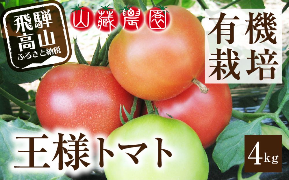 【2026年夏 先行予約】（8月上旬から順次発送予定）飛騨高山産 有機トマト「王様トマト」4kg | 大玉トマト とまと 麗月 れおん 野菜 樹熟 飛騨高山 山藏農園 JC012